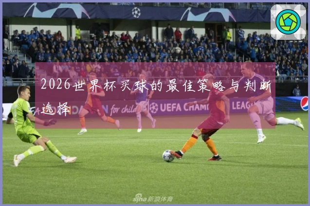 2026世界杯买球的最佳策略与判断选择