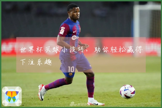 世界杯买球小技巧，助你轻松赢得下注乐趣