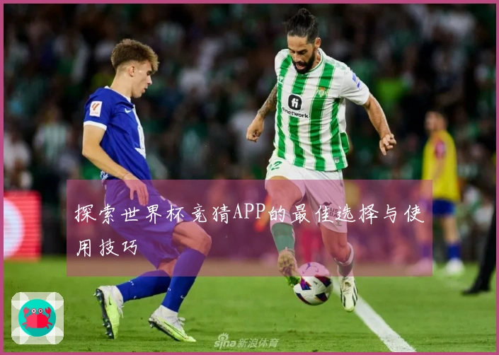 探索世界杯竞猜APP的最佳选择与使用技巧