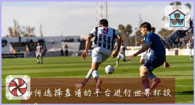 如何选择靠谱的平台进行世界杯投注？